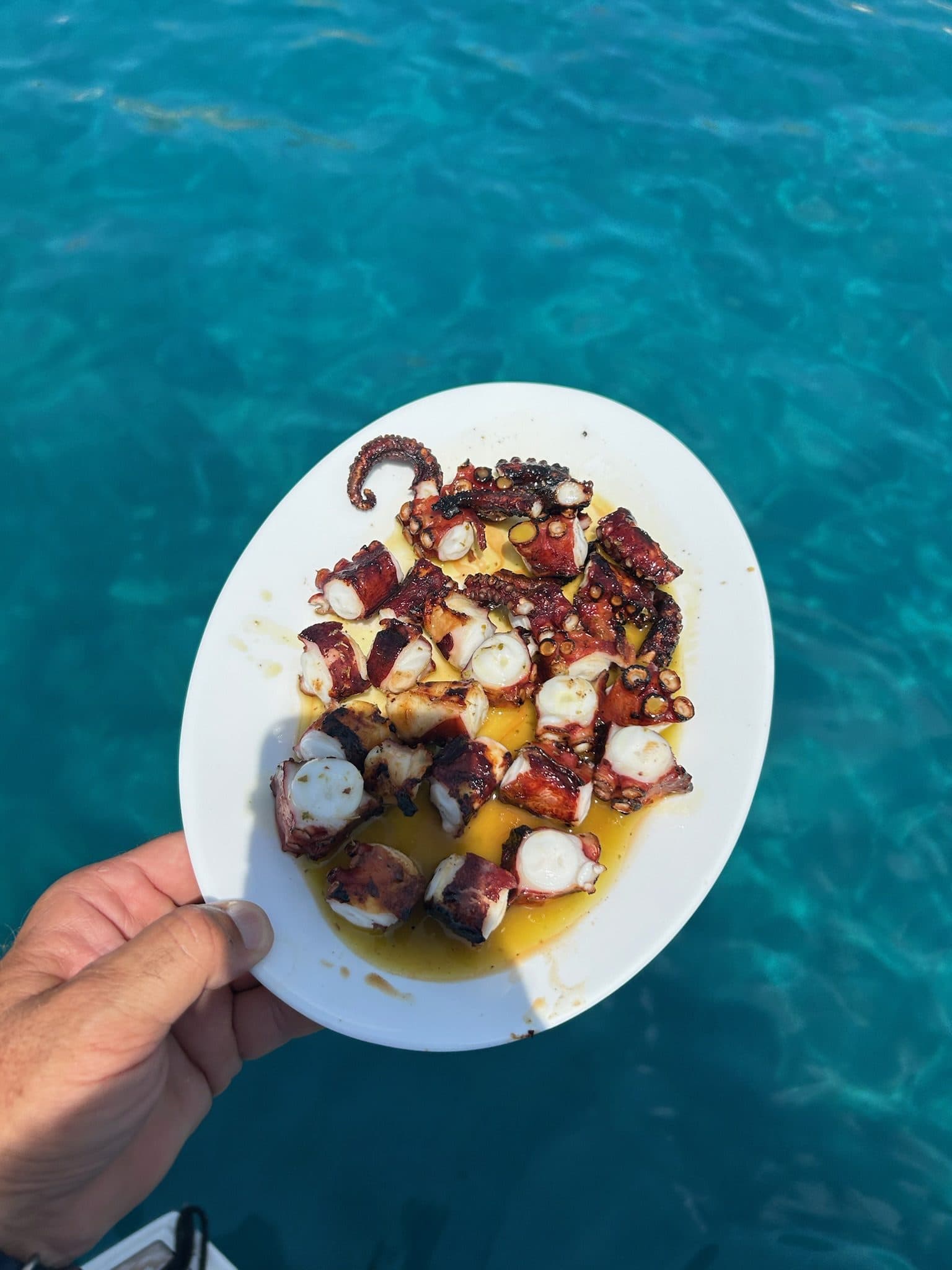 Hand holding a plate of Greek mezze on board